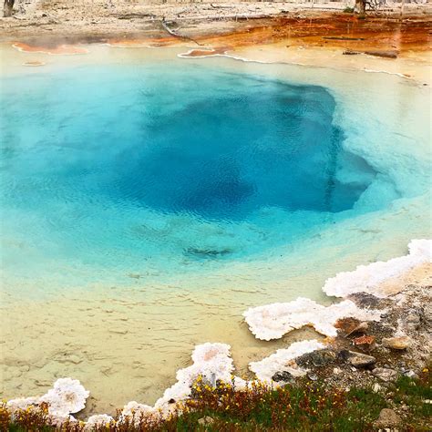 Hot springs at yellowstone. Things To Know About Hot springs at yellowstone. 